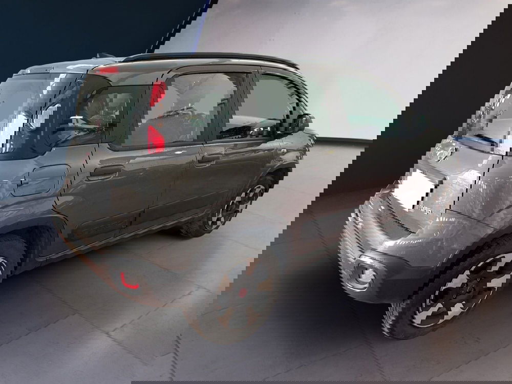 Fiat Panda Cross usata a Torino (6)