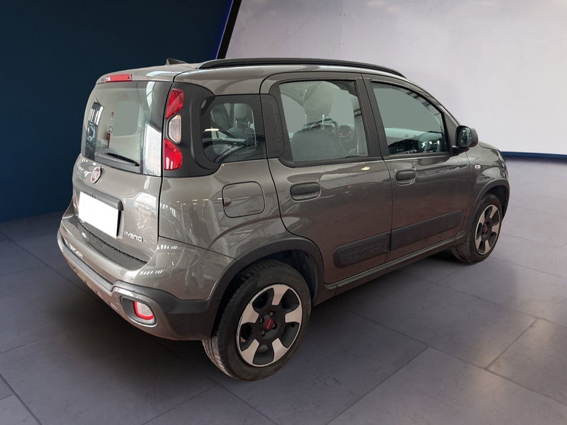 Fiat Panda Cross usata a Torino (6)