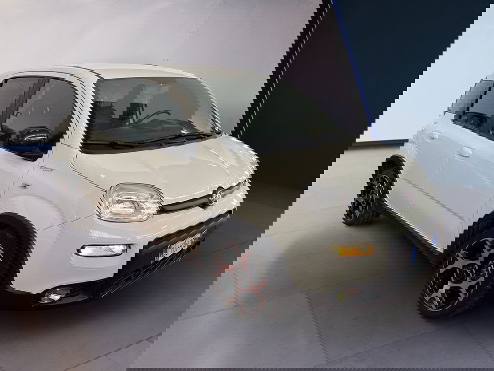 Fiat Panda usata a Torino (3)