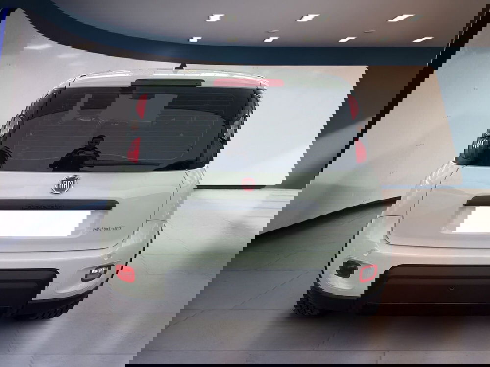 Fiat Panda usata a Torino (5)