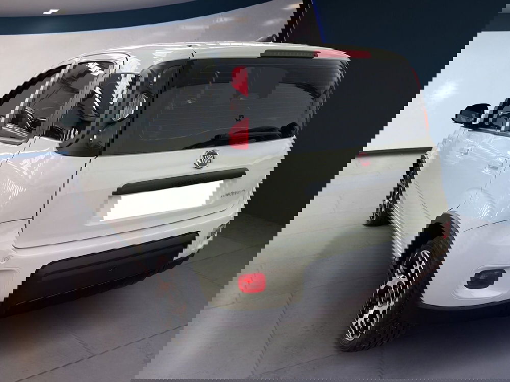 Fiat Panda usata a Torino (6)