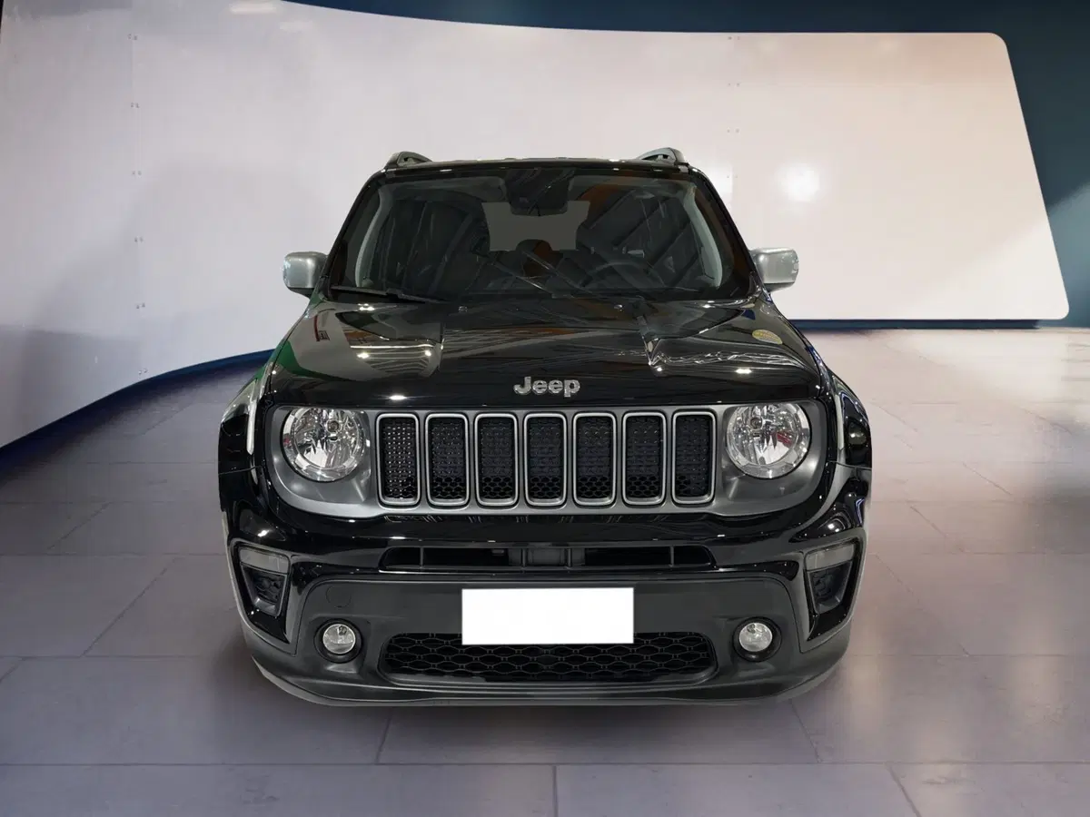 Jeep Renegade usata a Torino