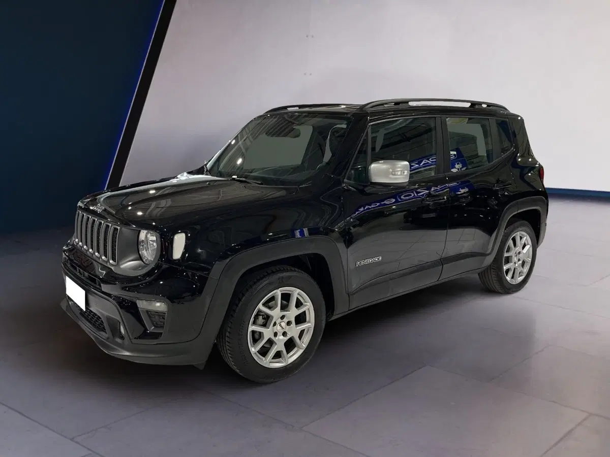 Jeep Renegade usata a Torino (3)