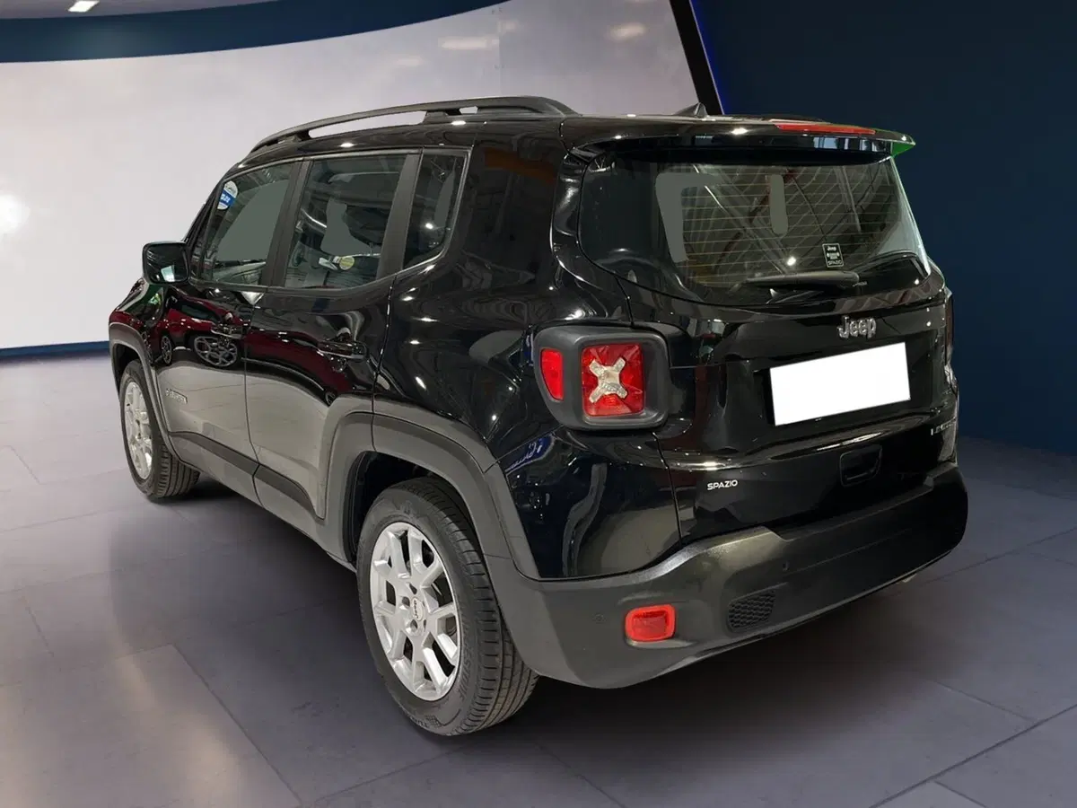 Jeep Renegade usata a Torino (4)