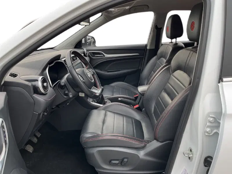 Mg ZS usata a Torino (10)