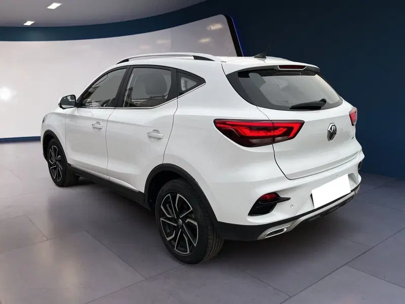 Mg ZS usata a Torino (6)
