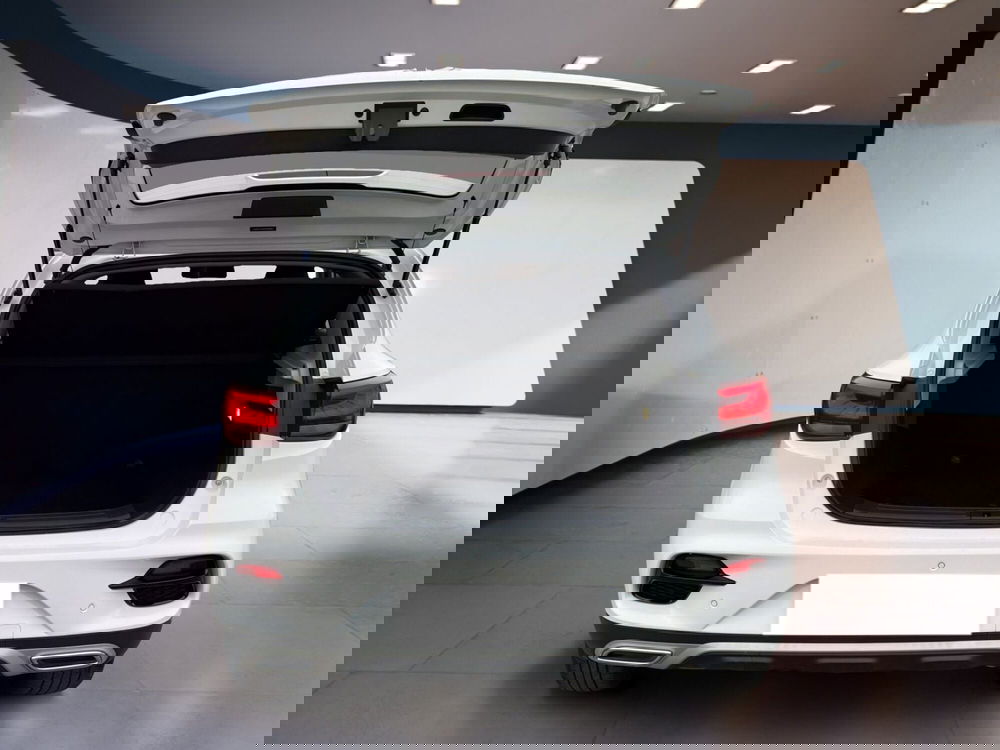 Mg ZS usata a Torino (7)