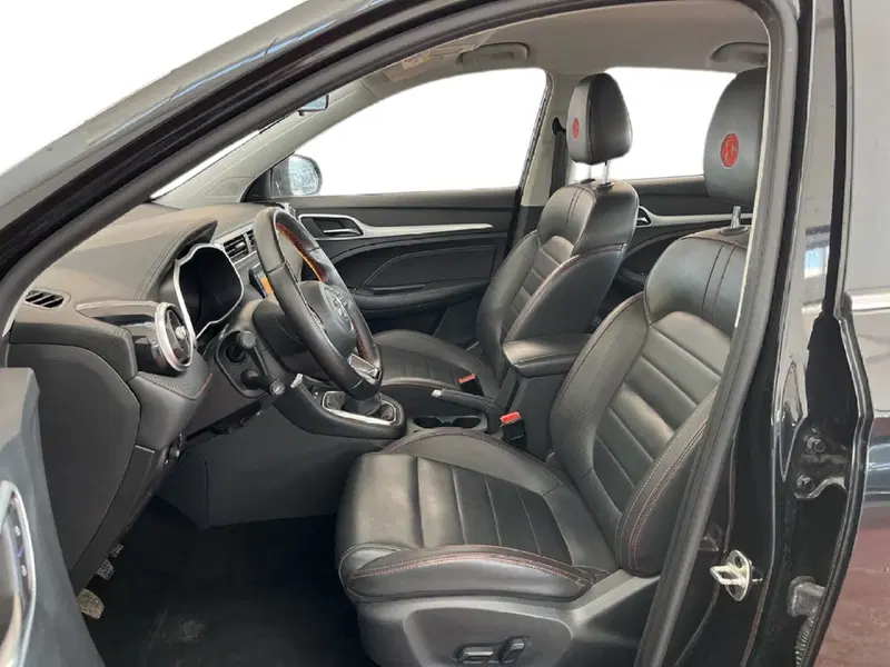 Mg ZS usata a Torino (9)