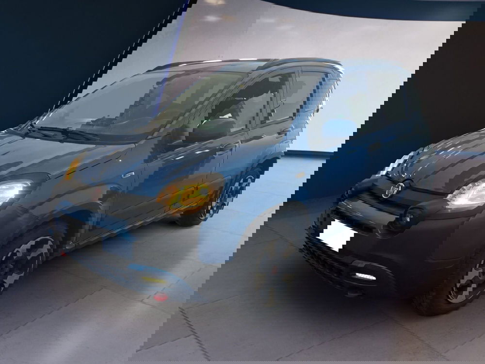 Fiat Panda Cross usata a Torino (3)