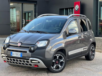 Fiat Panda Cross Cross 1.2 EasyPower del 2022 usata a Matera