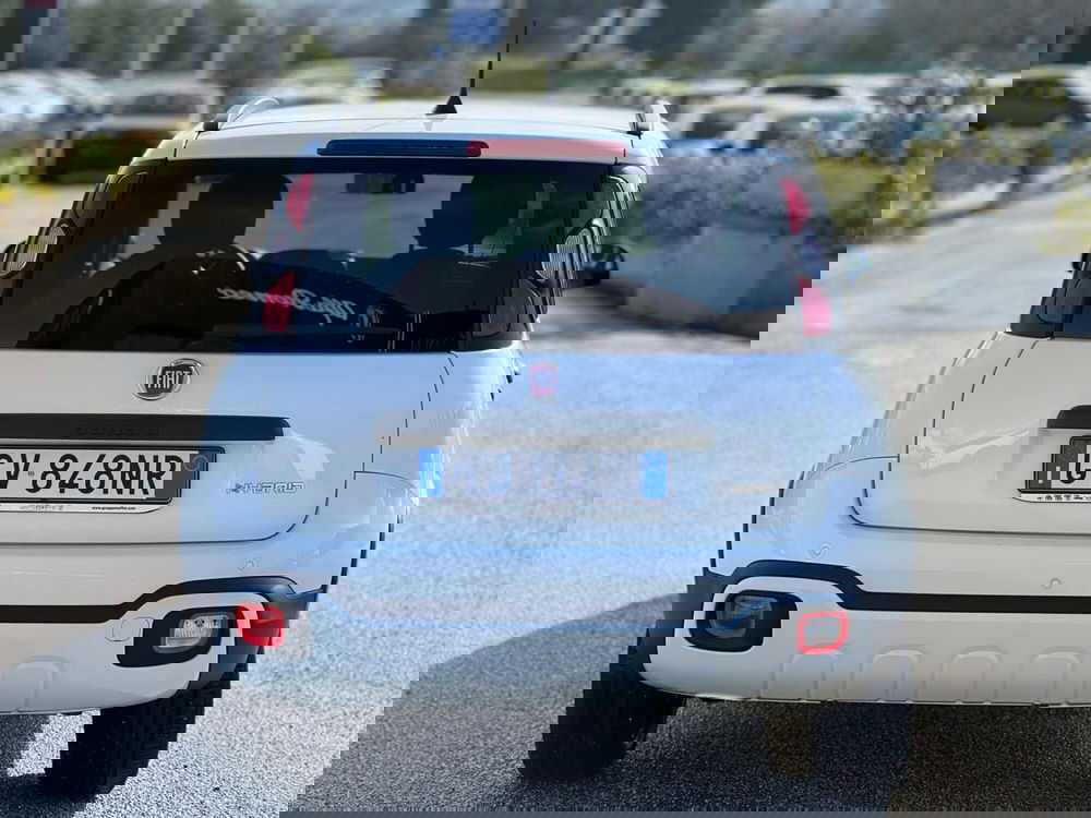 Fiat Panda Cross usata a Matera (10)