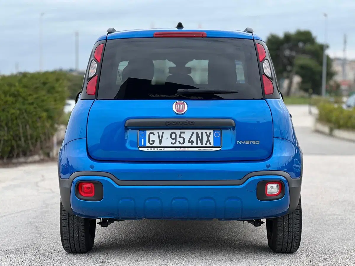Fiat Panda Cross usata a Matera (12)