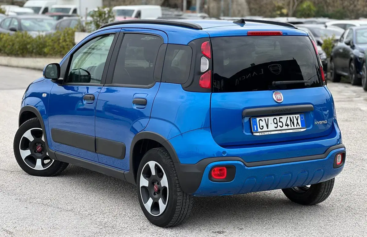 Fiat Panda Cross usata a Matera (15)