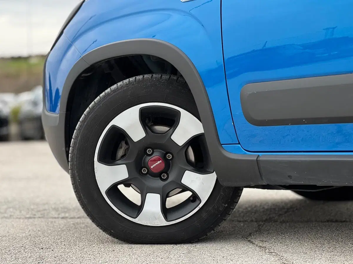 Fiat Panda Cross usata a Matera (8)