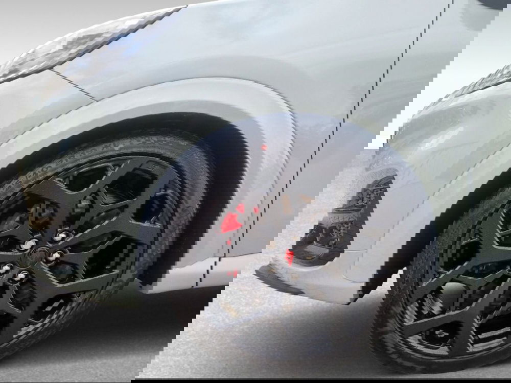 Ford Puma usata a Pisa (16)