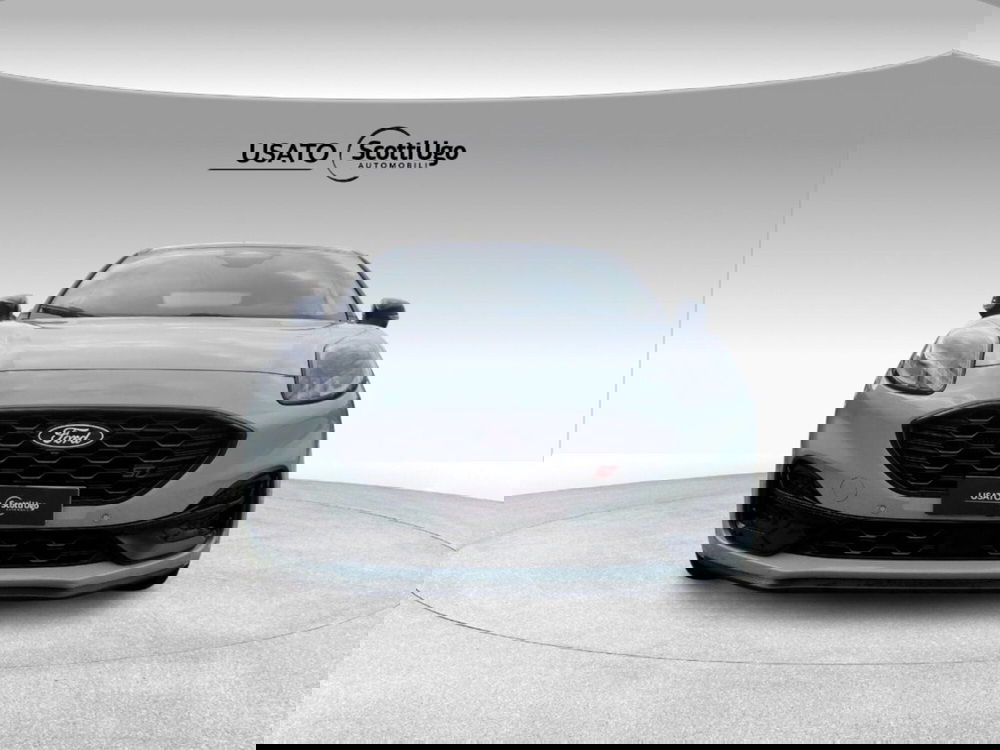 Ford Puma usata a Pisa (2)