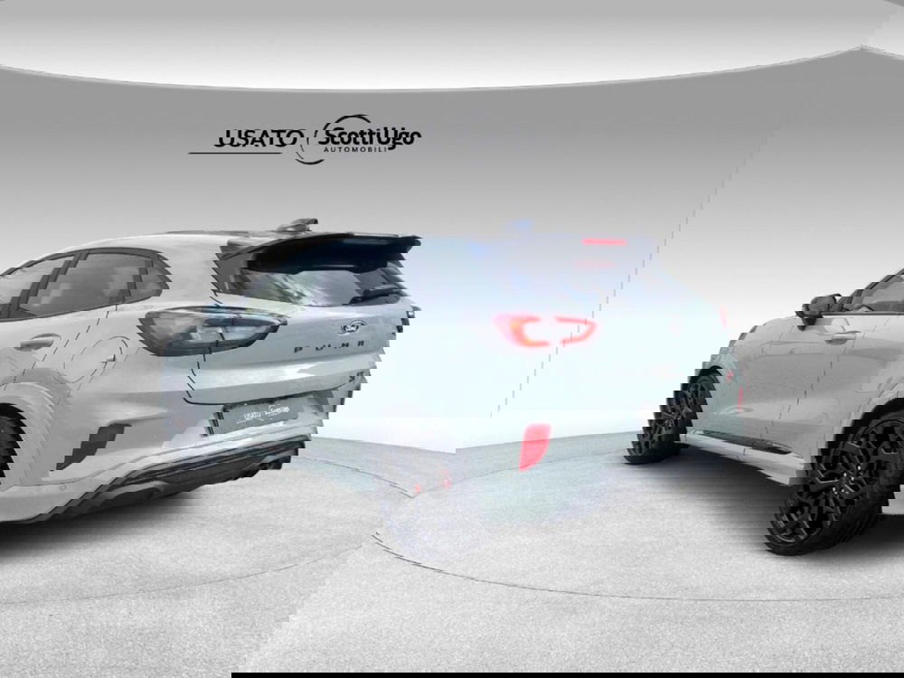 Ford Puma usata a Pisa (4)