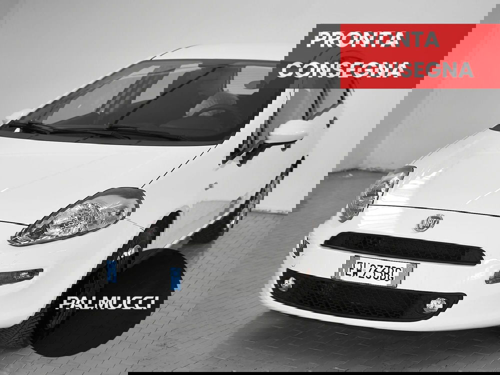 Fiat Punto usata a Prato