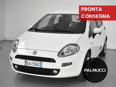 Fiat Punto 1.4 8V 5 porte Easypower Street del 2014 usata a Prato