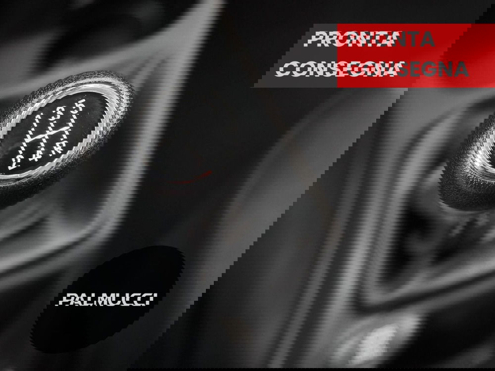 Fiat Punto usata a Prato (15)