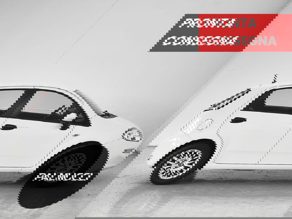 Fiat Punto usata a Prato (4)