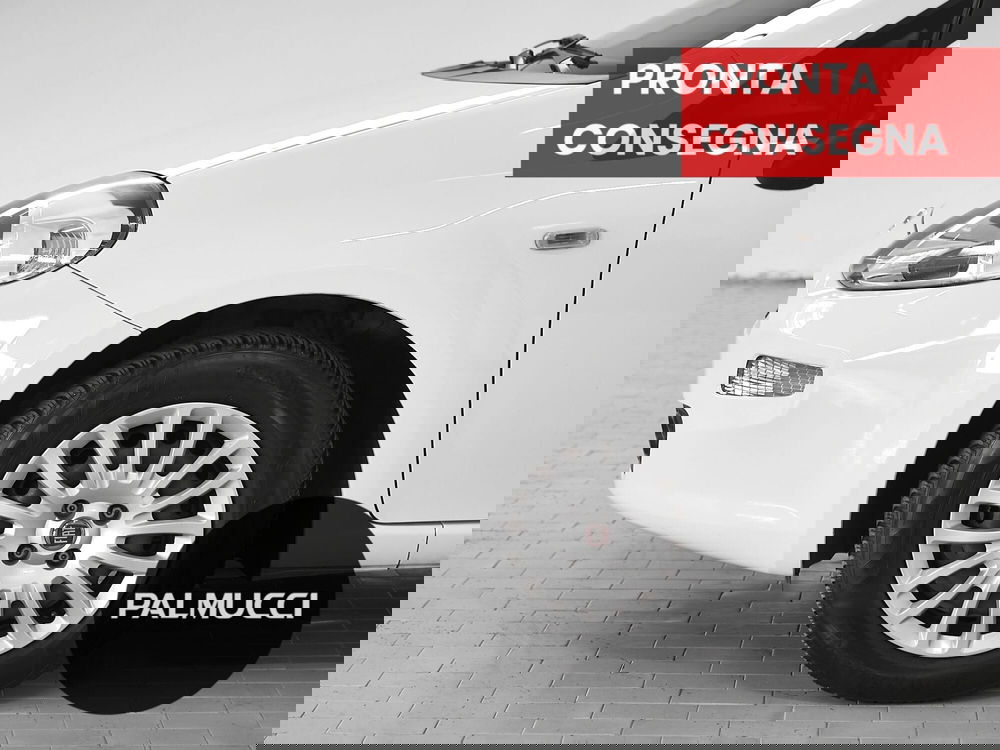 Fiat Punto usata a Prato (7)