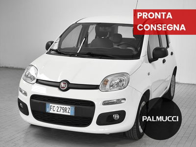 Fiat Panda 1.2 Easy del 2016 usata a Prato