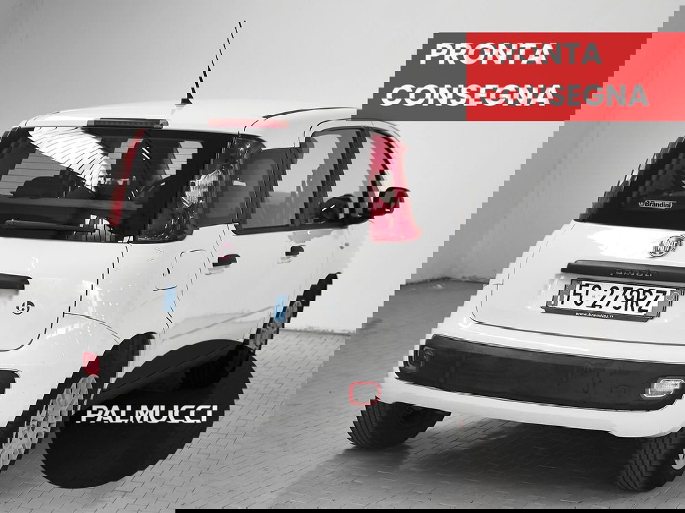 Fiat Panda usata a Prato (3)