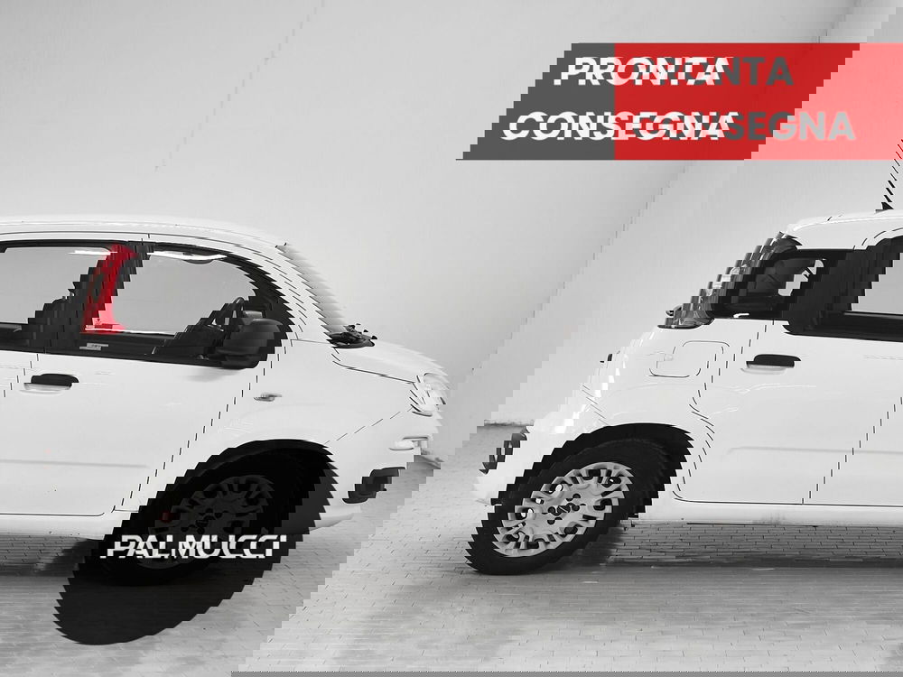 Fiat Panda usata a Prato (4)