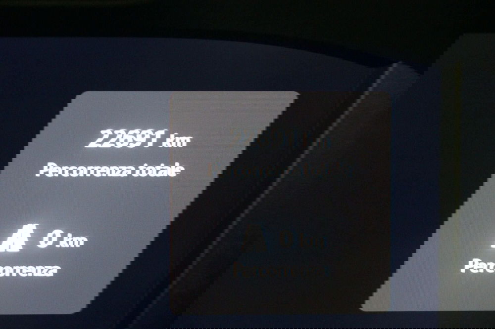 Skoda Octavia Station Wagon usata a Torino (11)