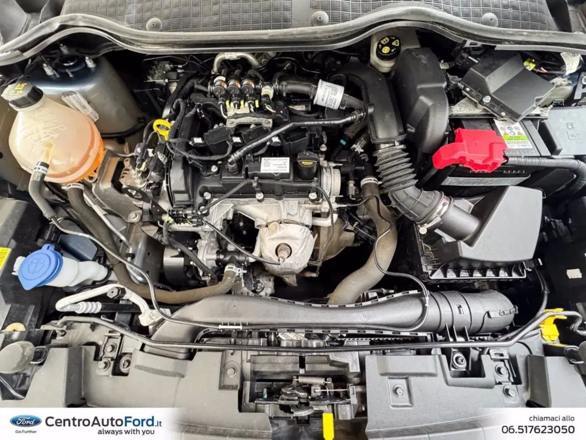 Ford Fiesta usata a Roma (11)