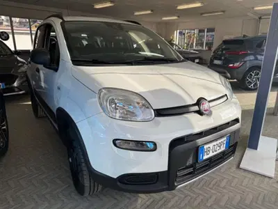 Fiat Panda 0.9 TwinAir Turbo S&amp;S 4x4 Wild del 2019 usata a Montecrestese