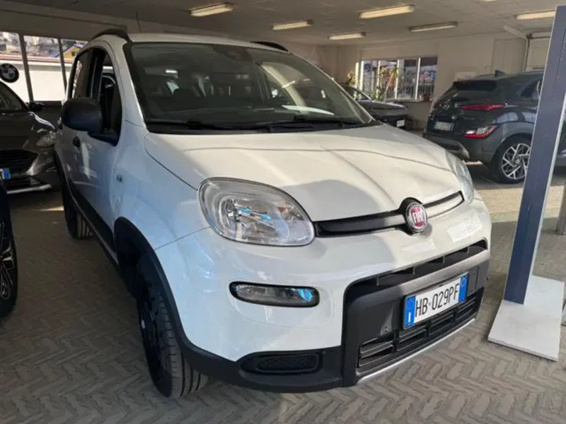 Fiat Panda usata a Verbano Cusio Ossola