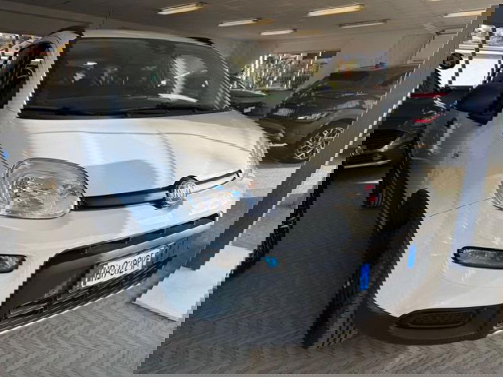 Fiat Panda usata a Verbano Cusio Ossola