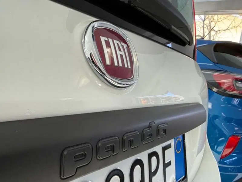 Fiat Panda usata a Verbano Cusio Ossola (10)