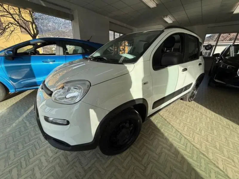 Fiat Panda usata a Verbano Cusio Ossola (2)