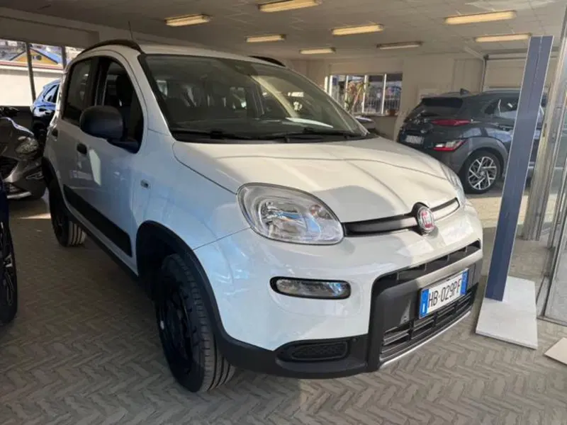 Fiat Panda usata a Verbano Cusio Ossola (3)