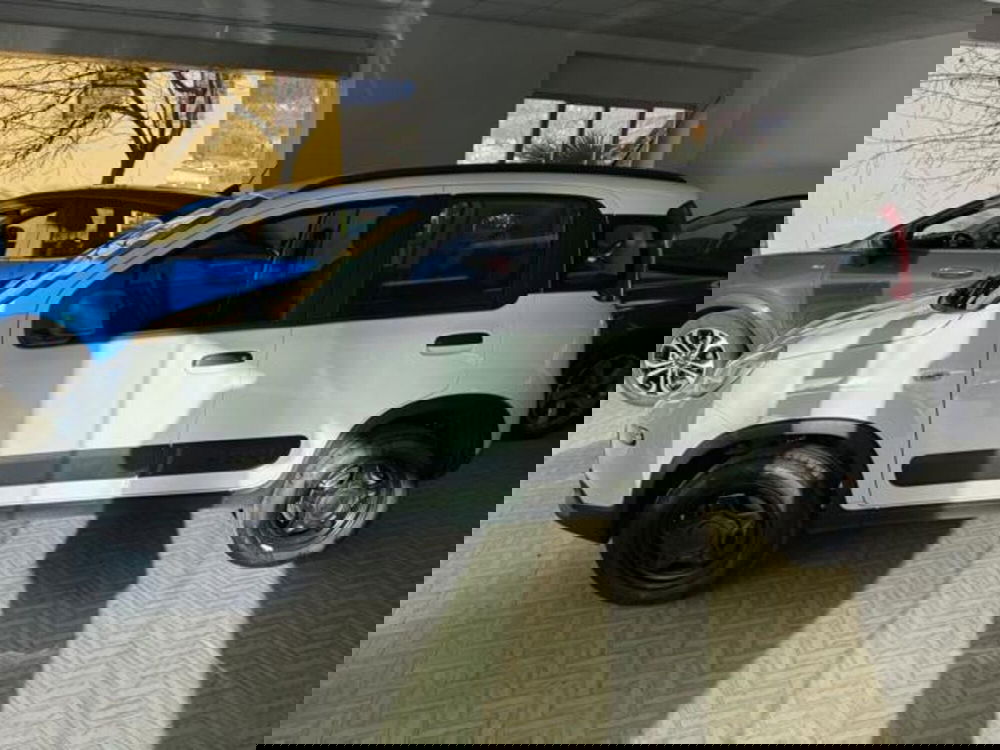 Fiat Panda usata a Verbano Cusio Ossola (5)