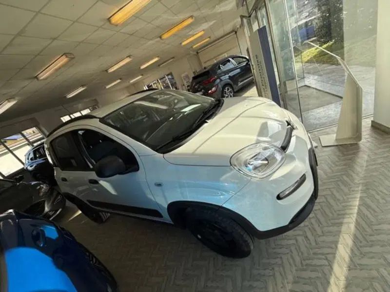 Fiat Panda usata a Verbano Cusio Ossola (7)