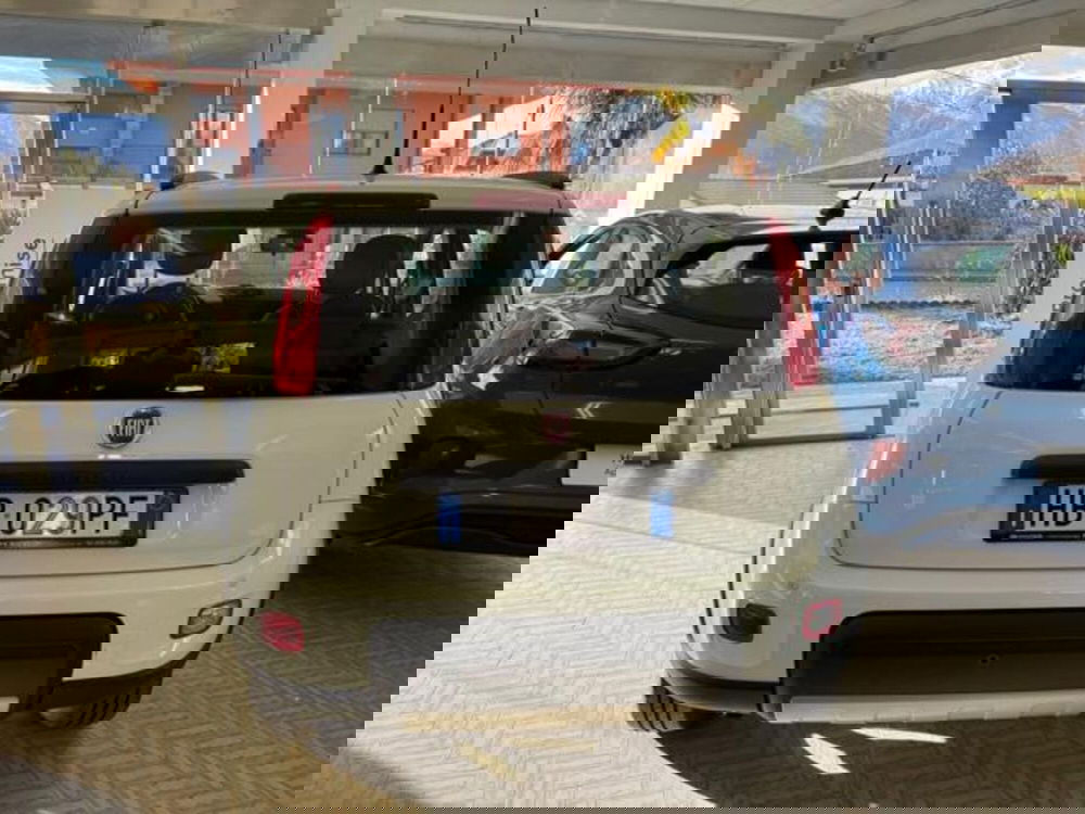 Fiat Panda usata a Verbano Cusio Ossola (8)