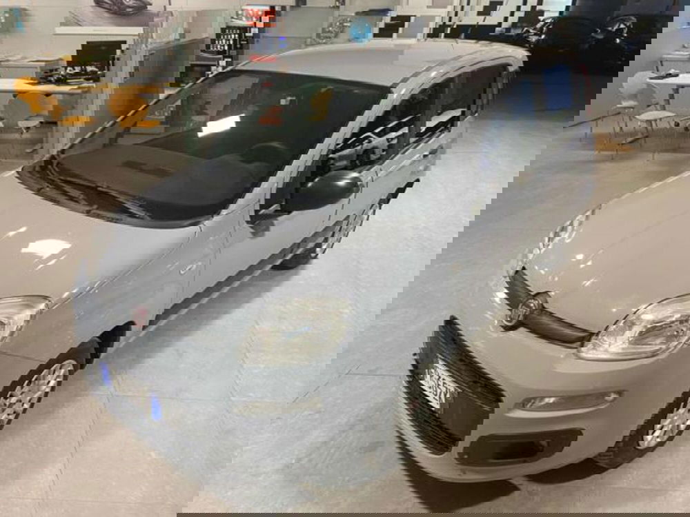 Fiat Panda usata a Bologna