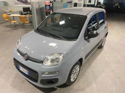 Fiat Panda 1.2 Pop del 2018 usata a Imola