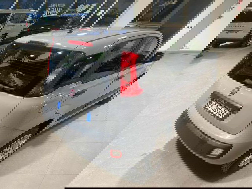 Fiat Panda usata a Bologna (3)