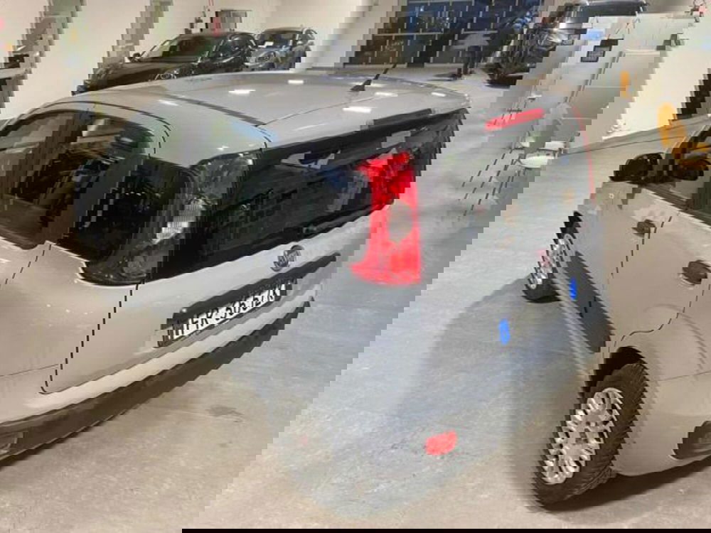 Fiat Panda usata a Bologna (4)