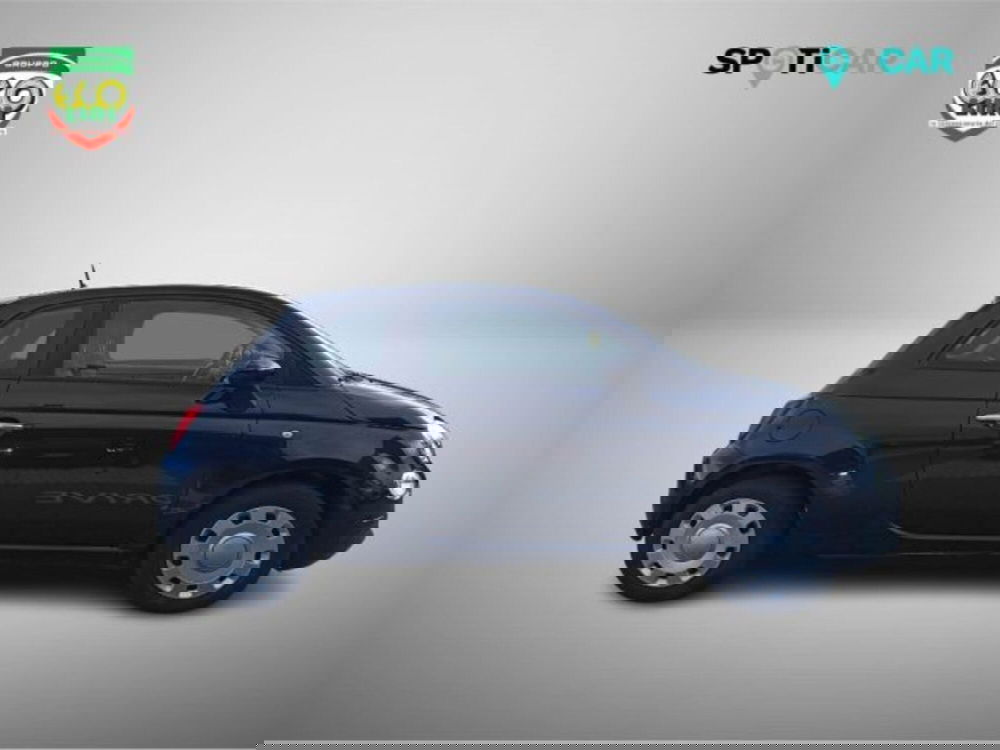 Fiat 500 usata a Frosinone (4)