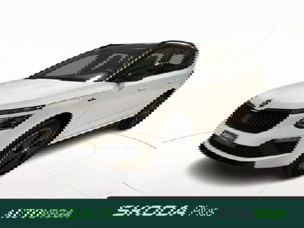 Skoda Kamiq usata a Vicenza