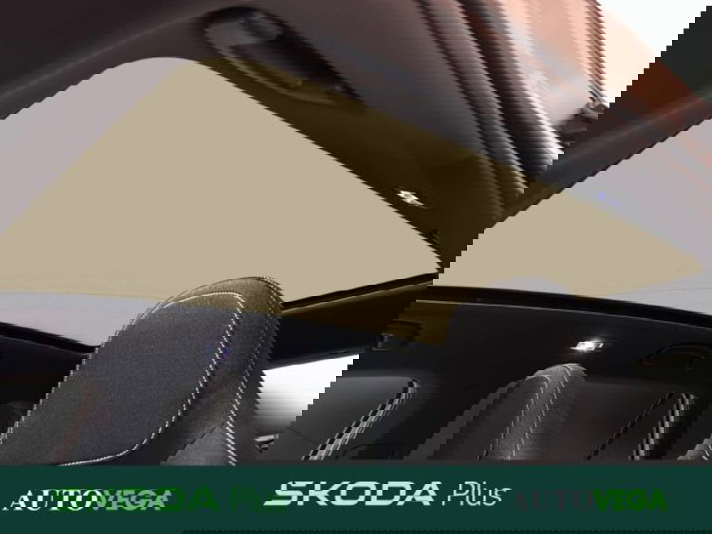 Skoda Kamiq usata a Vicenza (18)