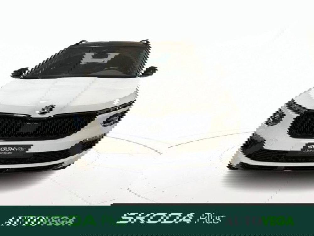 Skoda Kamiq usata a Vicenza (2)