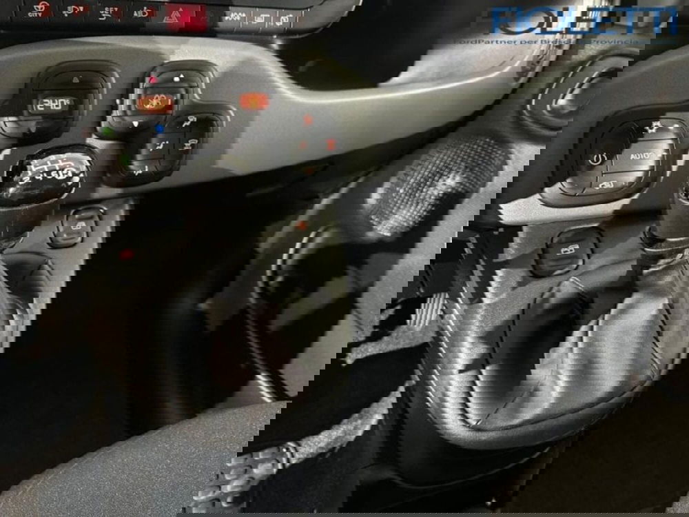 Fiat Panda Cross usata a Brescia (9)