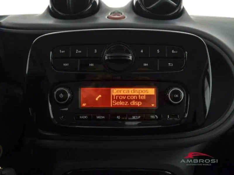 smart Fortwo usata a Perugia (13)